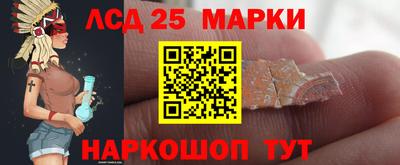 МДПВ Бийск