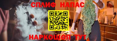 МДПВ Бийск
