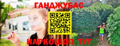 МДПВ Бийск