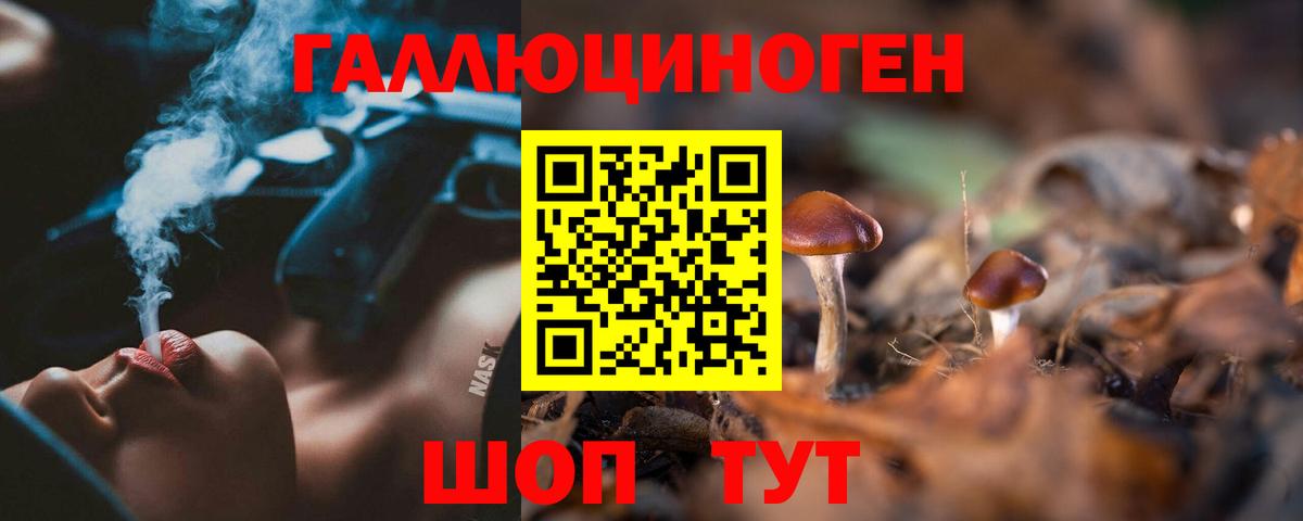 Псилоцибиновые грибы Psilocybine cubensis Калининград