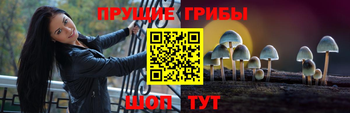 Псилоцибиновые грибы ЛСД  Вход с VPN  Калининград 